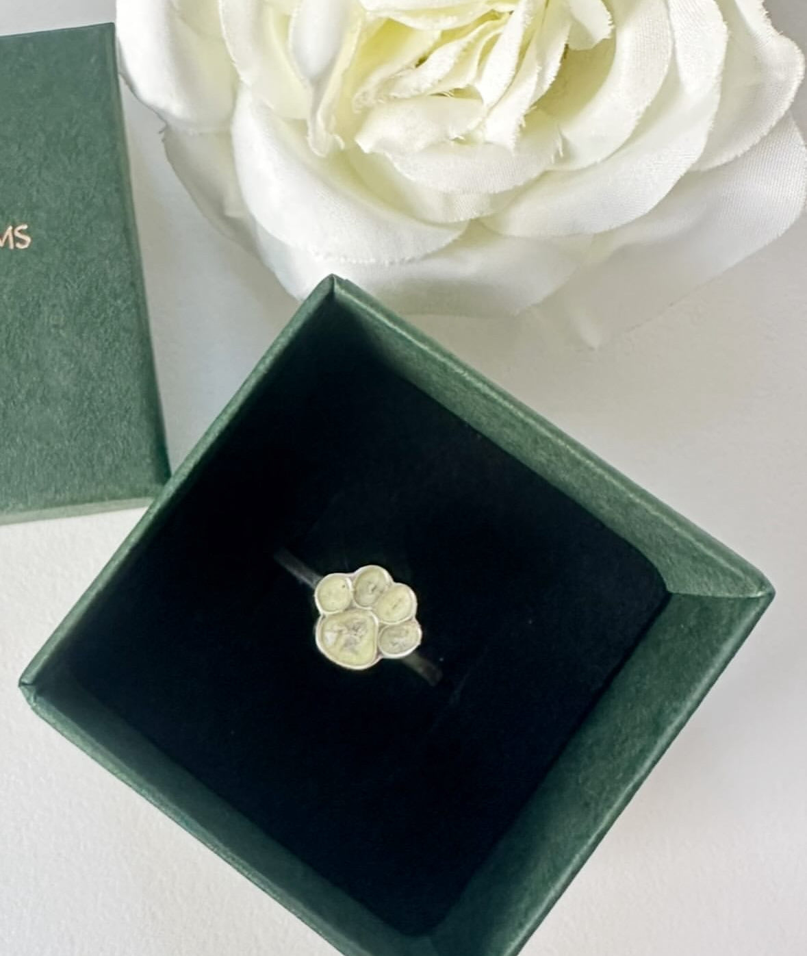 Paw Print Ring in Sterling Silver