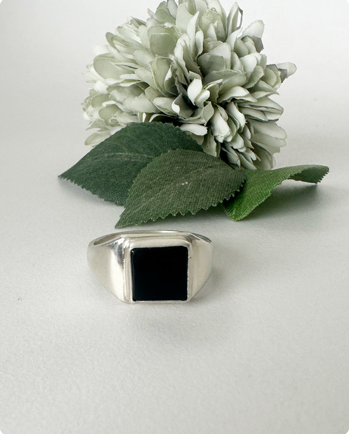 ‘Hidden Ashes’ Onyx Signet Ring